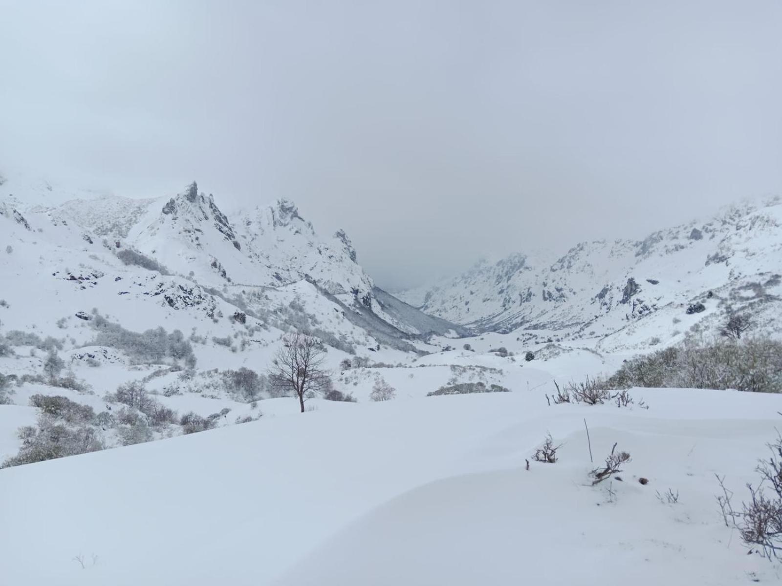 Apartamentos Rurales La Laguna Somiedo Valle de Lago Εξωτερικό φωτογραφία